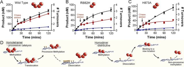 Holz-Schietinger et al.