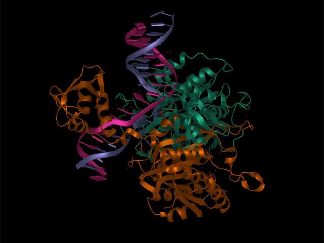 Bacterial DNA Methyltransferases